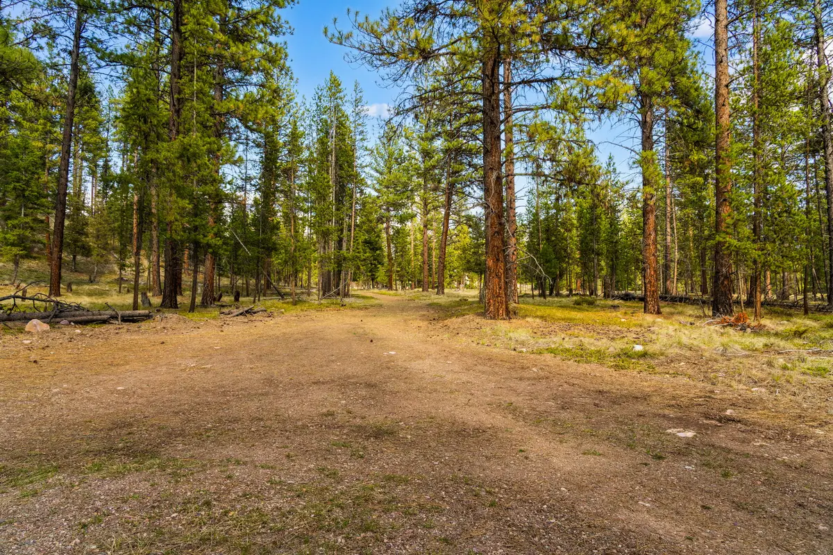 NHN Crawfish Court, Seeley Lake, MT 59868 - Image #1