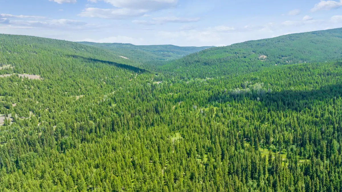 nhn Pinkham Road, Rexford, MT 59930 - Image #1