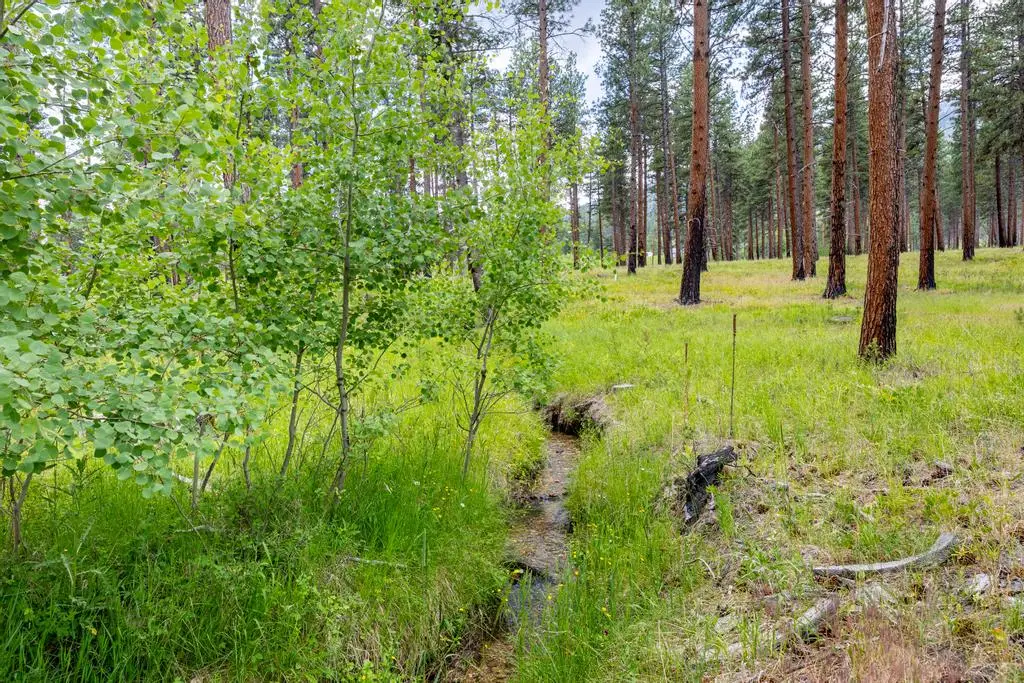 003 Janes Way, Hamilton, MT 59840 - Image #1