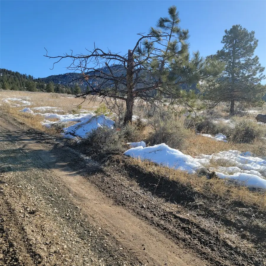 Lot A Sapphire Ranch Trail, Corvallis, MT 59828 - #3