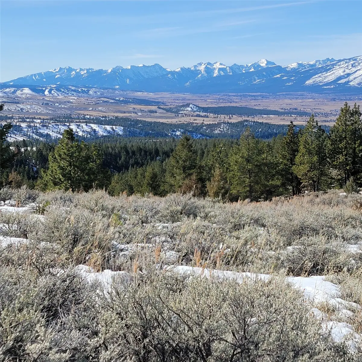 Lot B Sapphire Ranch Trail, Corvallis, MT 59828 - Image #1