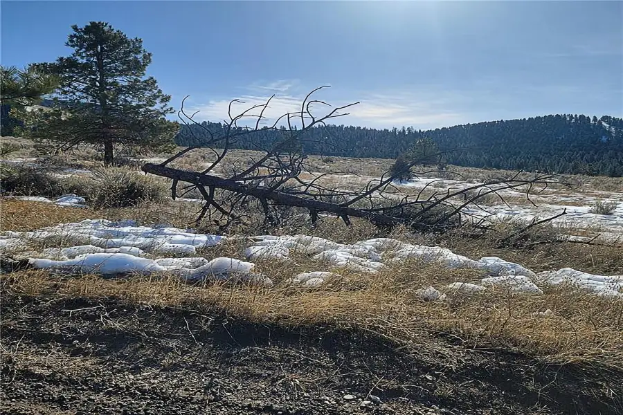 Lot A and B Sapphire Ranch Trail, Corvallis, MT 59828 - #3