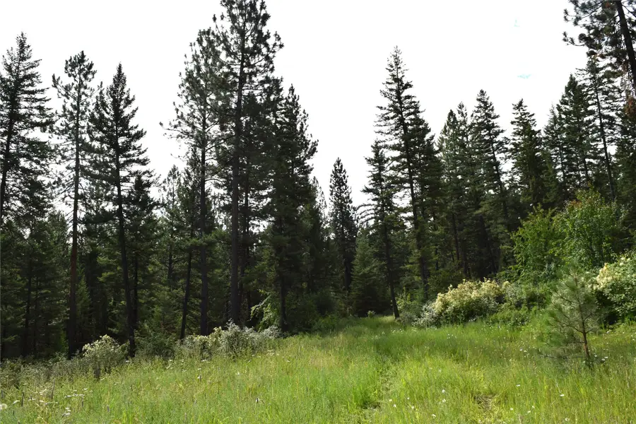 73487 Arlee Pines Drive, Arlee, MT 59821 - Image #2