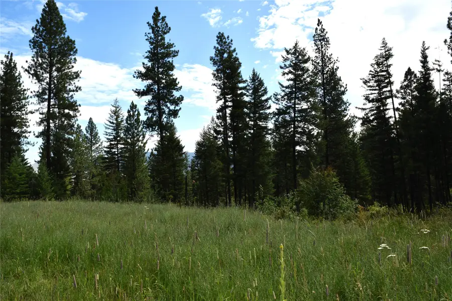 73487 Arlee Pines Drive, Arlee, MT 59821 - Image #3