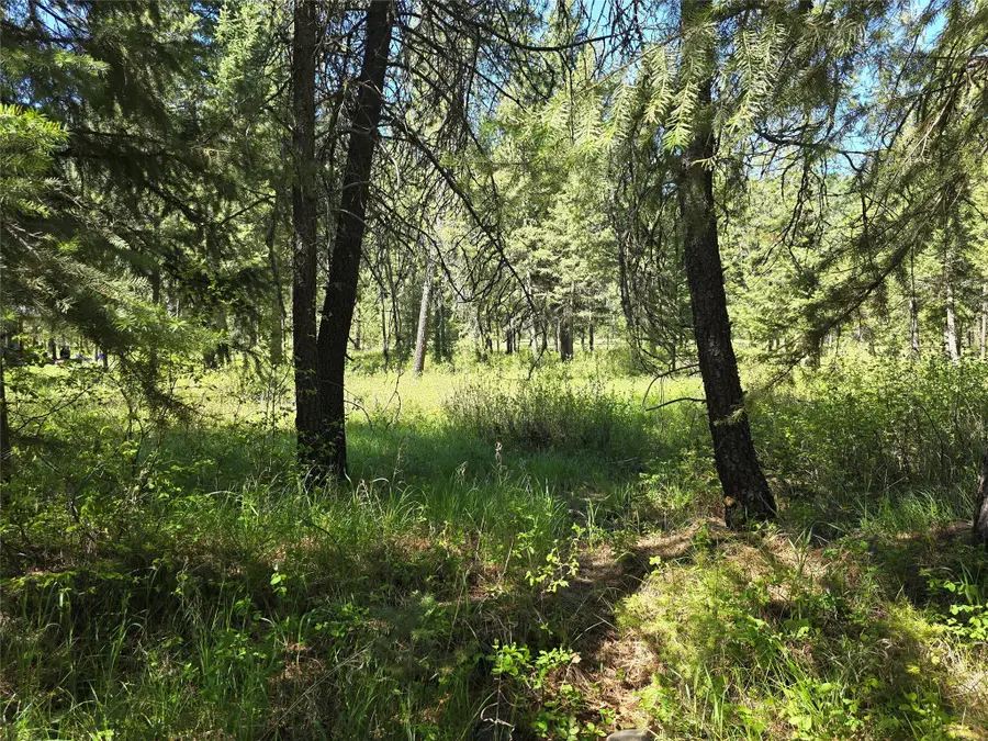 NH Fairview Drive, Saint Regis, MT 59866 - Image #3