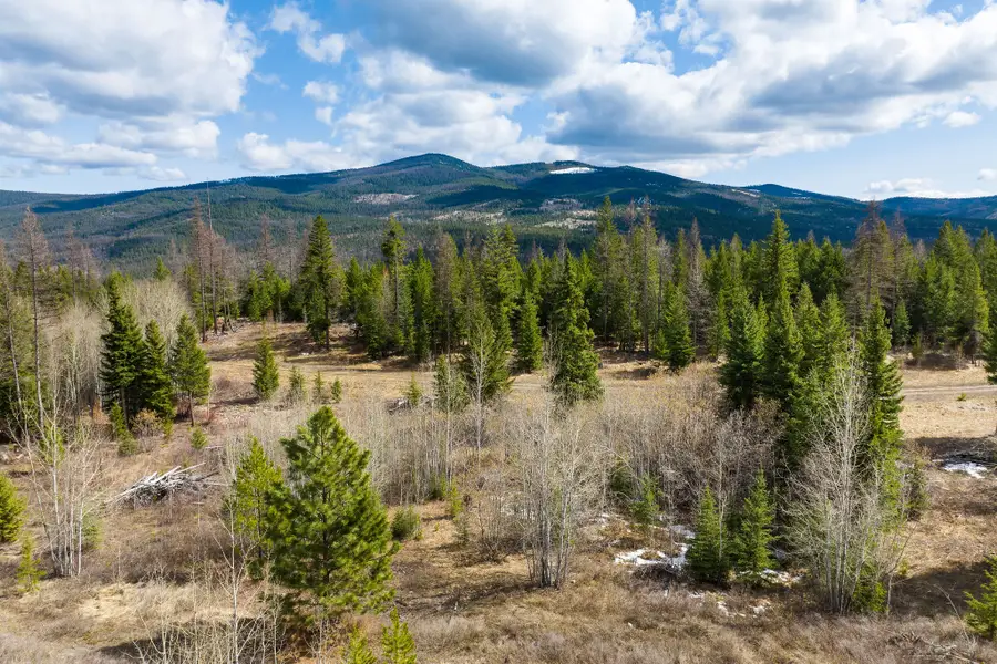 991 Haskill Ranch Road, Kila, MT 59920 - Image #3