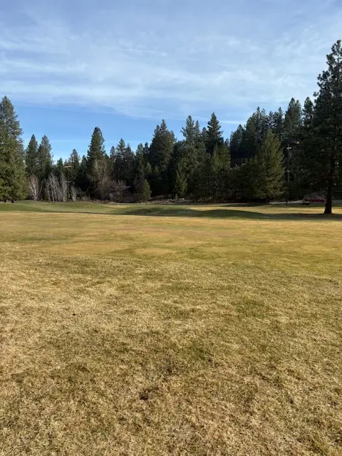 1 Fairview Drive, Saint Regis, MT 59866 - Image #3