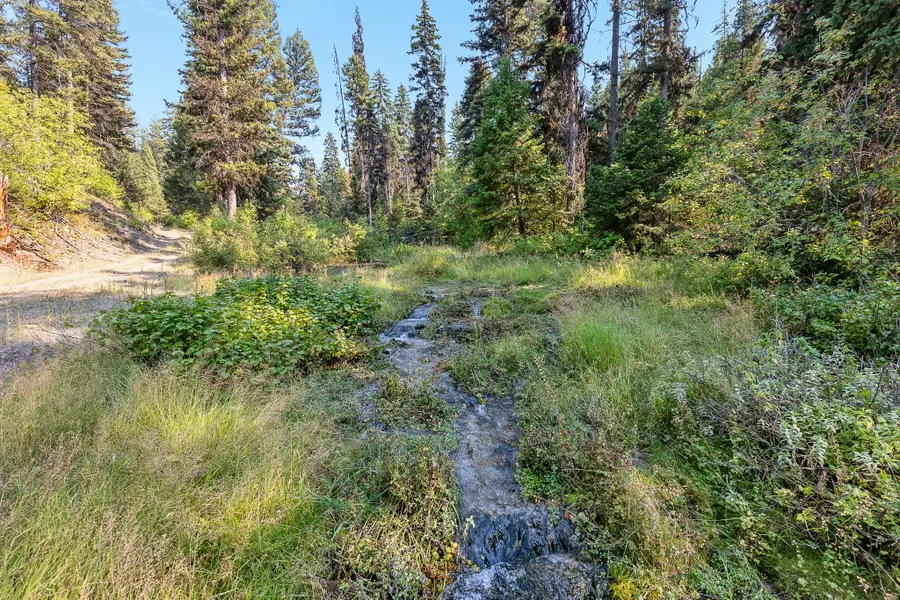 6300 Camas Creek Road, Potomac, MT 59823 - Image #2