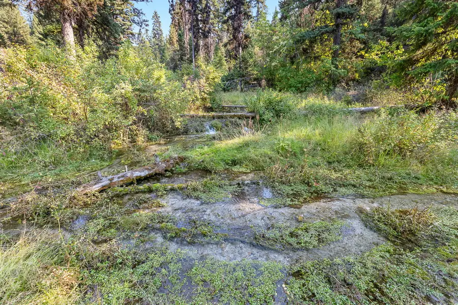 6300 Camas Creek Road, Potomac, MT 59823 - Image #3