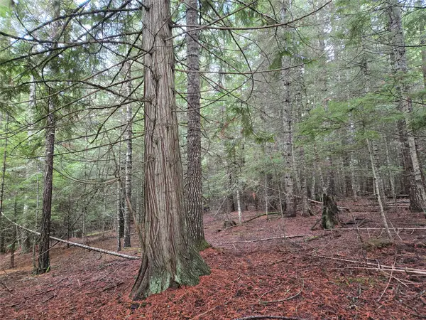 LOT A-4 Elk Heights Lane, Heron, MT 59844