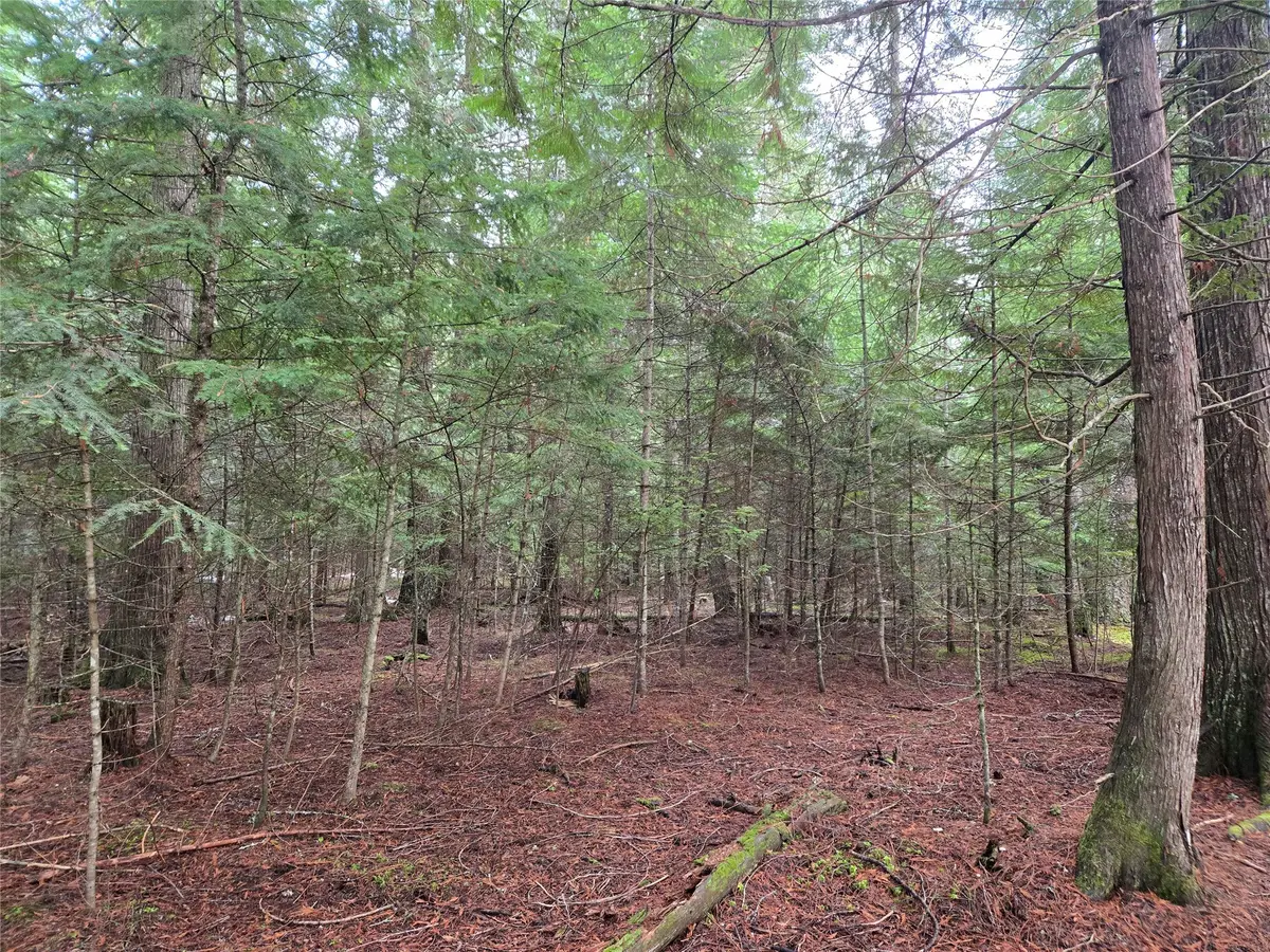 LOT A-1 Elk Heights Lane, Heron, MT 59844 - Image #1