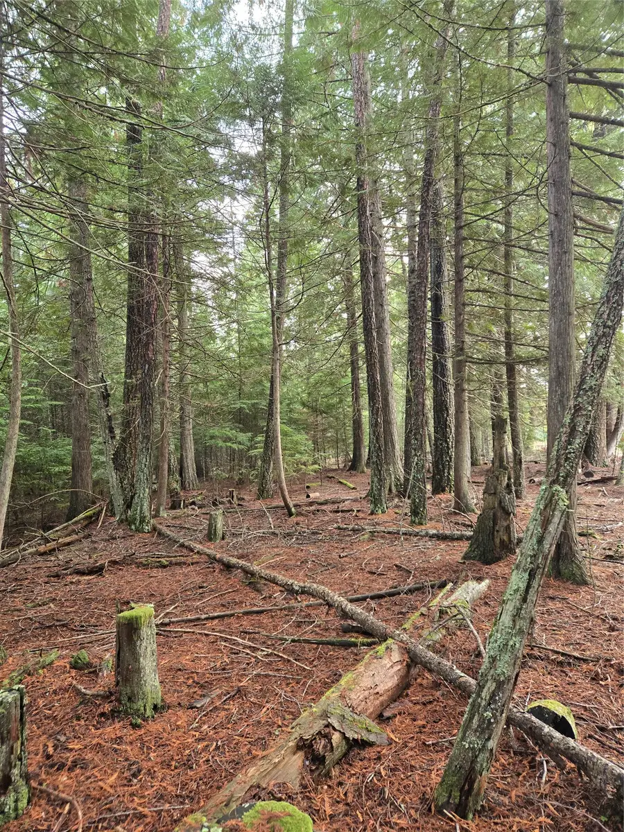 LOT A-1 Elk Heights Lane, Heron, MT 59844 - Image #2