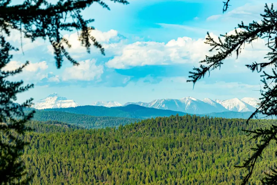 31 Forest Path Drive, Whitefish, MT 59937 - Image #3