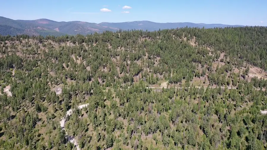 76 Hodge Ridge, Kila, MT 59920 - Image #3