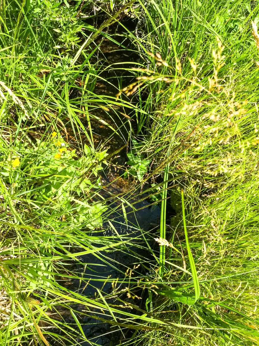 TBD Upper Deep Creek, Townsend, MT 59644 - Image #3