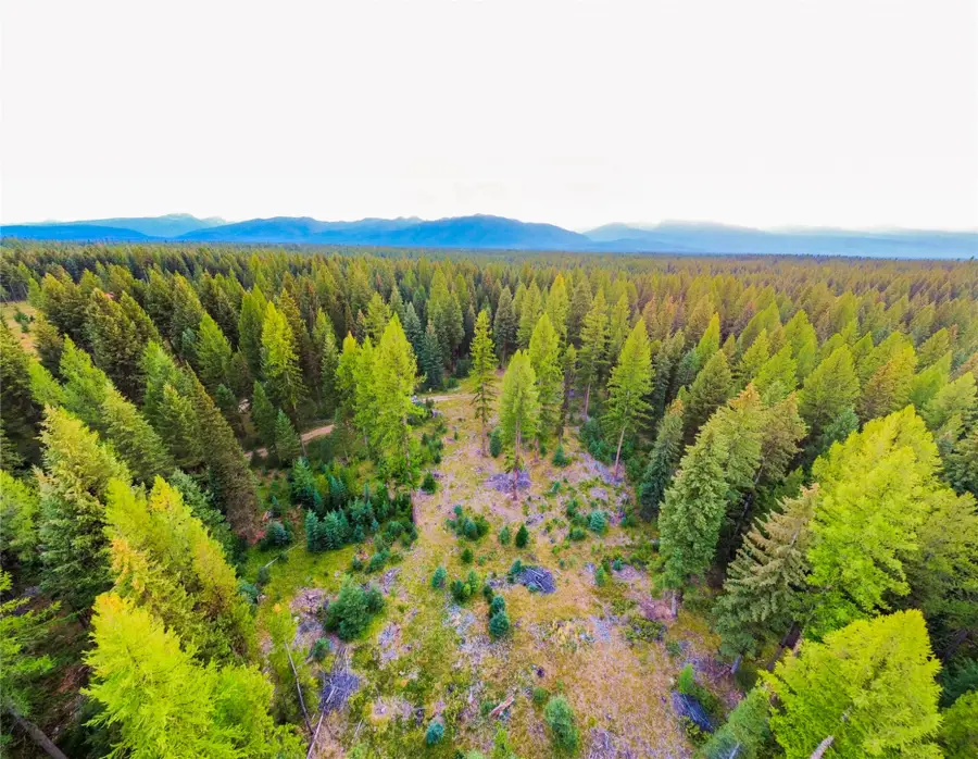 NHN Scenic Drive, Condon, MT 59826 - Image #3