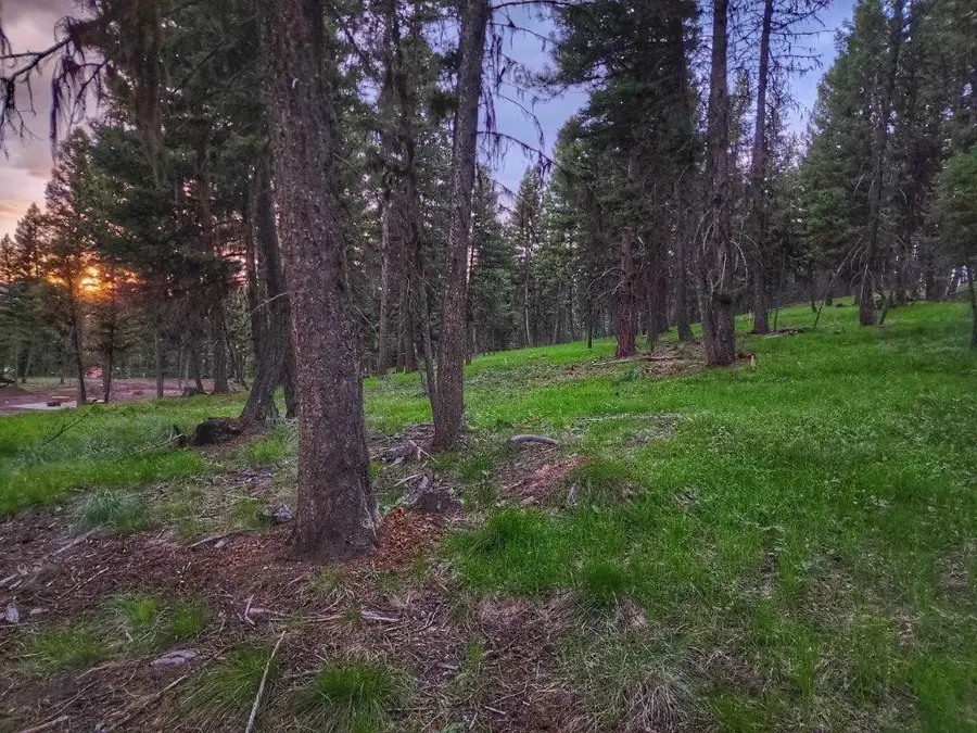 289 Seclusion Point, Seeley Lake, MT 59868 - Image #3