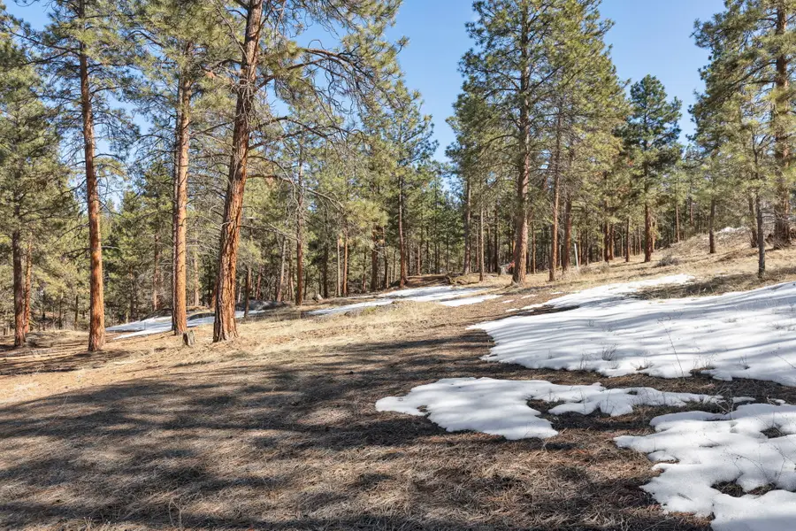 1437 Stock Farm Road, Hamilton, MT 59840 - Image #2