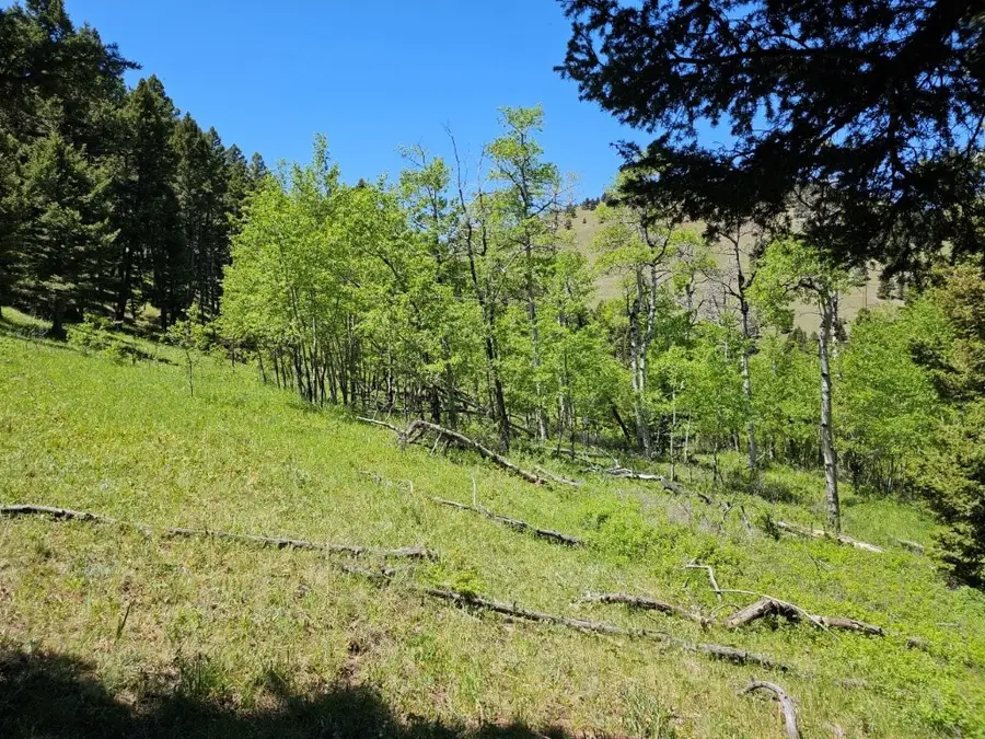 634 Corbin Road, Clancy, MT 59634 - Image #3