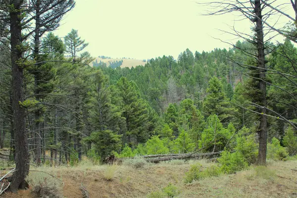 NHN Boulder Chief Road, Basin, MT 59631