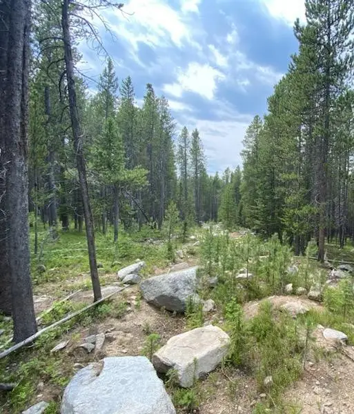 NHN Michael Davitt Granite Access Road, Philipsburg, MT 59858 - Image #3
