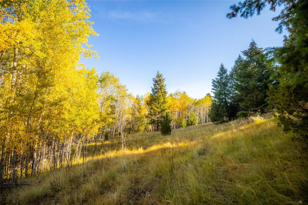 NHN Lone Pine Gulch Road, Ramsay, MT 59748 - Image #1