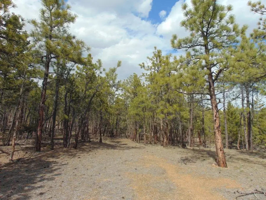 29 Sweetwater Road, Helena, MT 59602 - Image #2