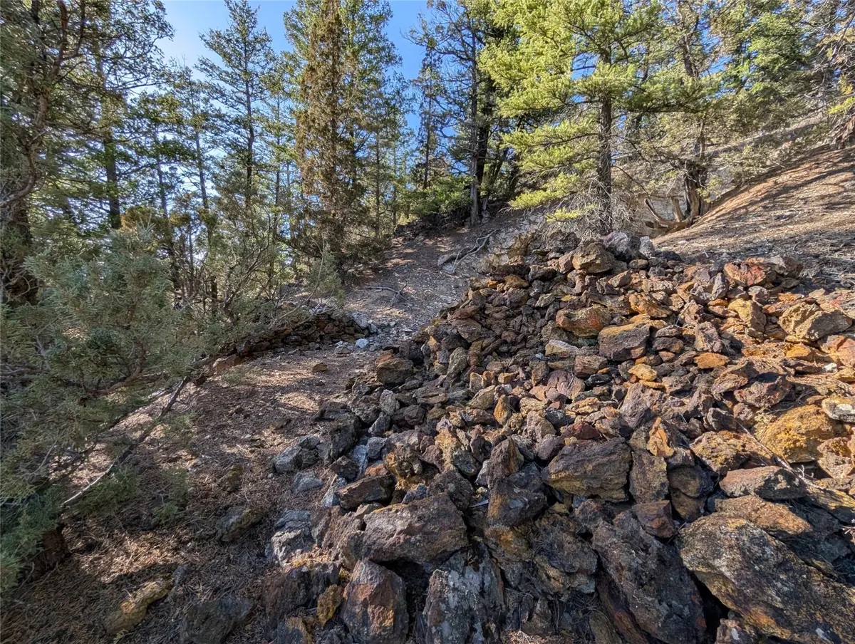 White Horse Lode Tbd, Philipsburg, MT 59858 - Image #1