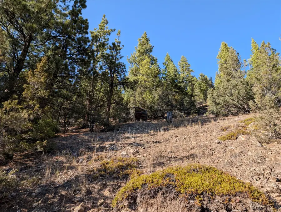 White Horse Lode Tbd, Philipsburg, MT 59858 - Image #2