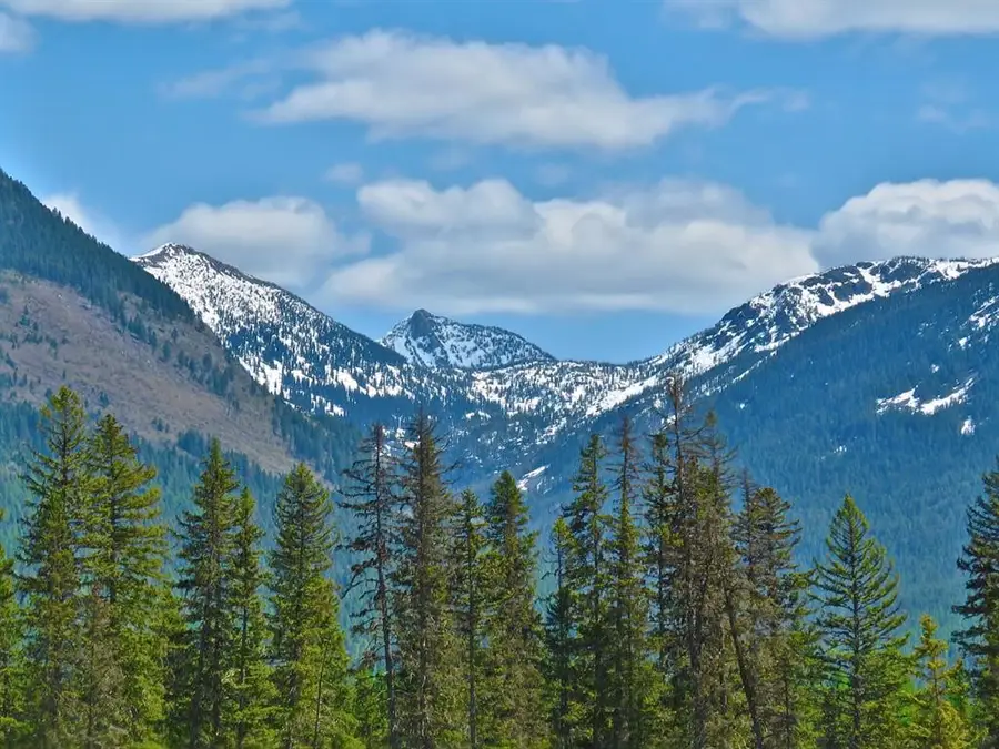 895 Mud Lake Road, Bigfork, MT 59911 - Image #3