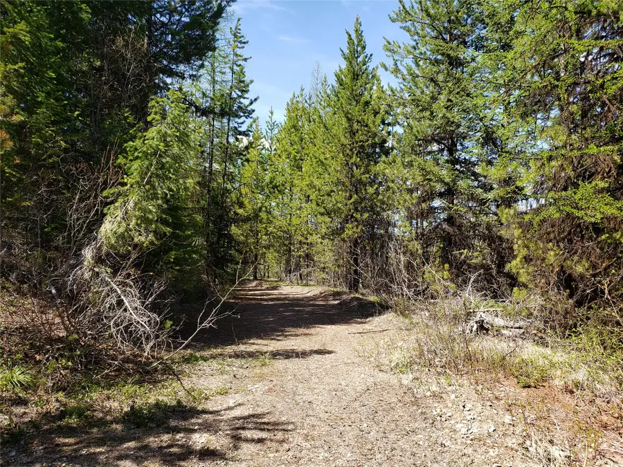 Tract 10 Ida Lode Nine Mile Road, Huson, MT 59846 - Image #2