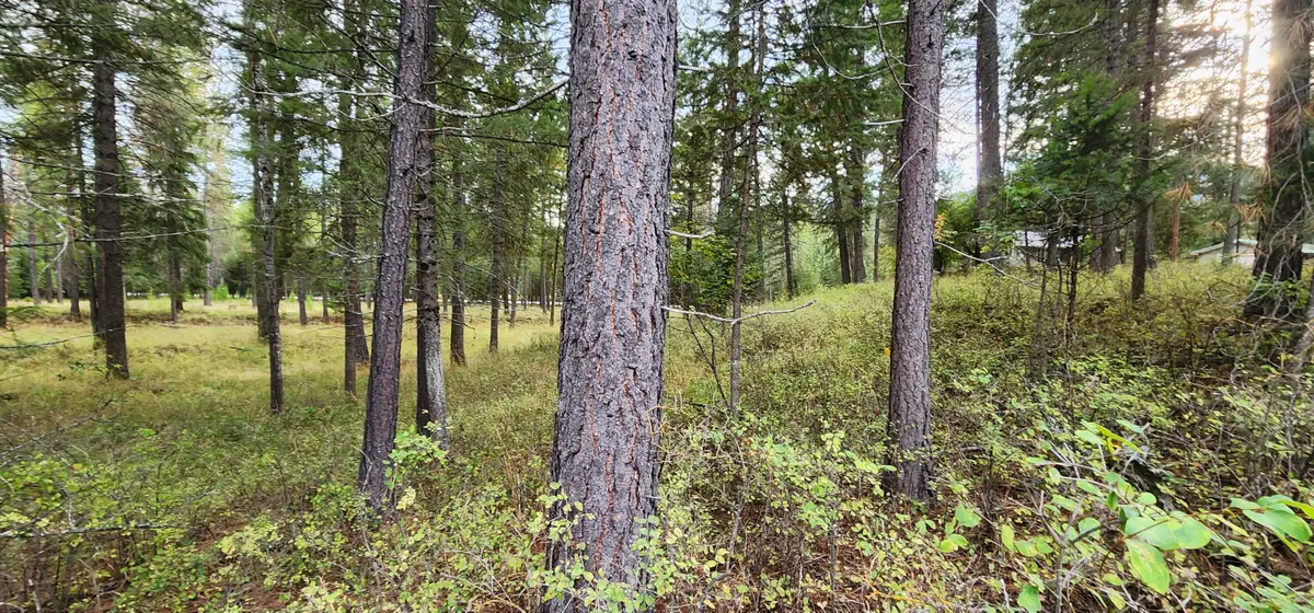 3100 Kootenai River Road, Libby, MT 59923 - Image #1