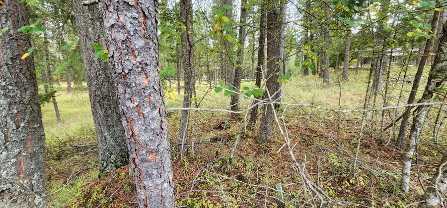 3100 Kootenai River Road, Libby, MT 59923 - Image #3