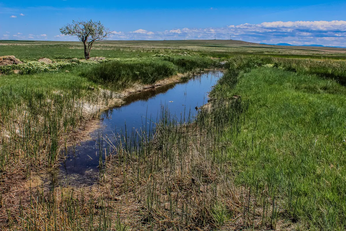 Tract 16 Old Ulm Cascade Road, Cascade, MT 59421 - Image #1