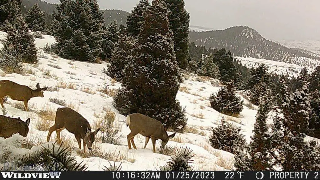 Lot 74 Pony Express Trail, Ramsay, MT 59748 - Image #1