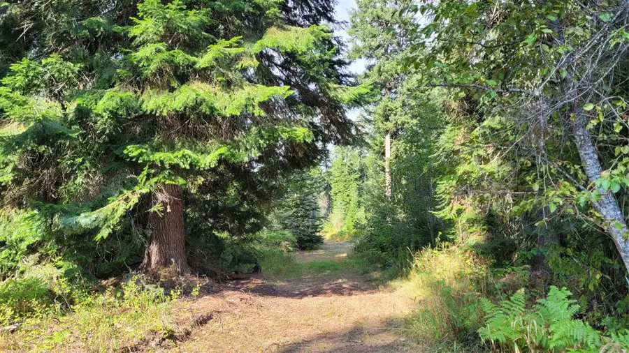 174 Double Creek Lane, Troy, MT 59935 - Image #2