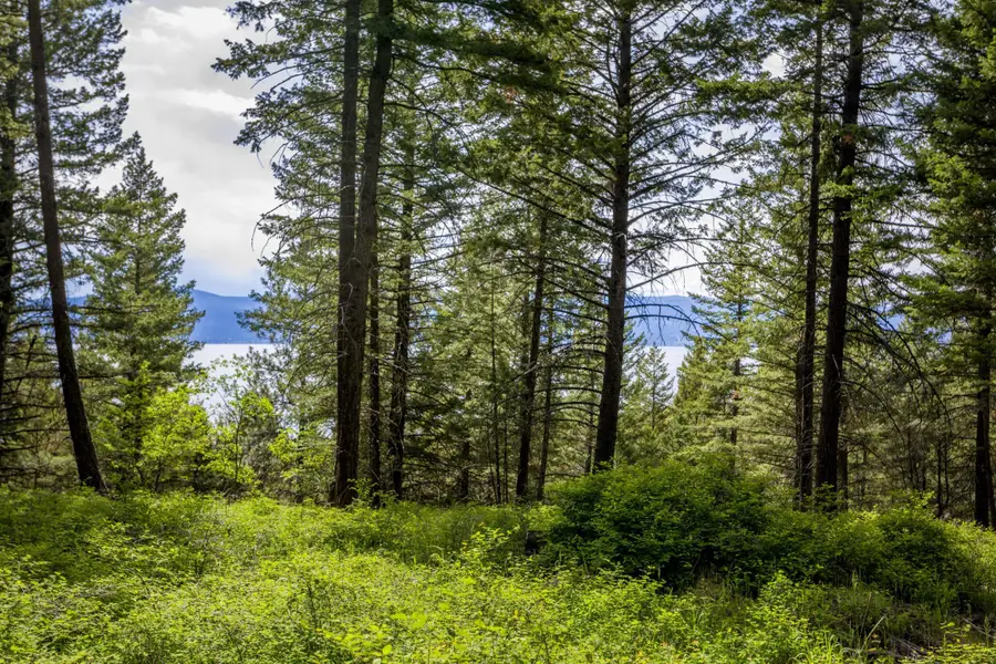 28 Doubletree Drive, Bigfork, MT 59911 - Image #2