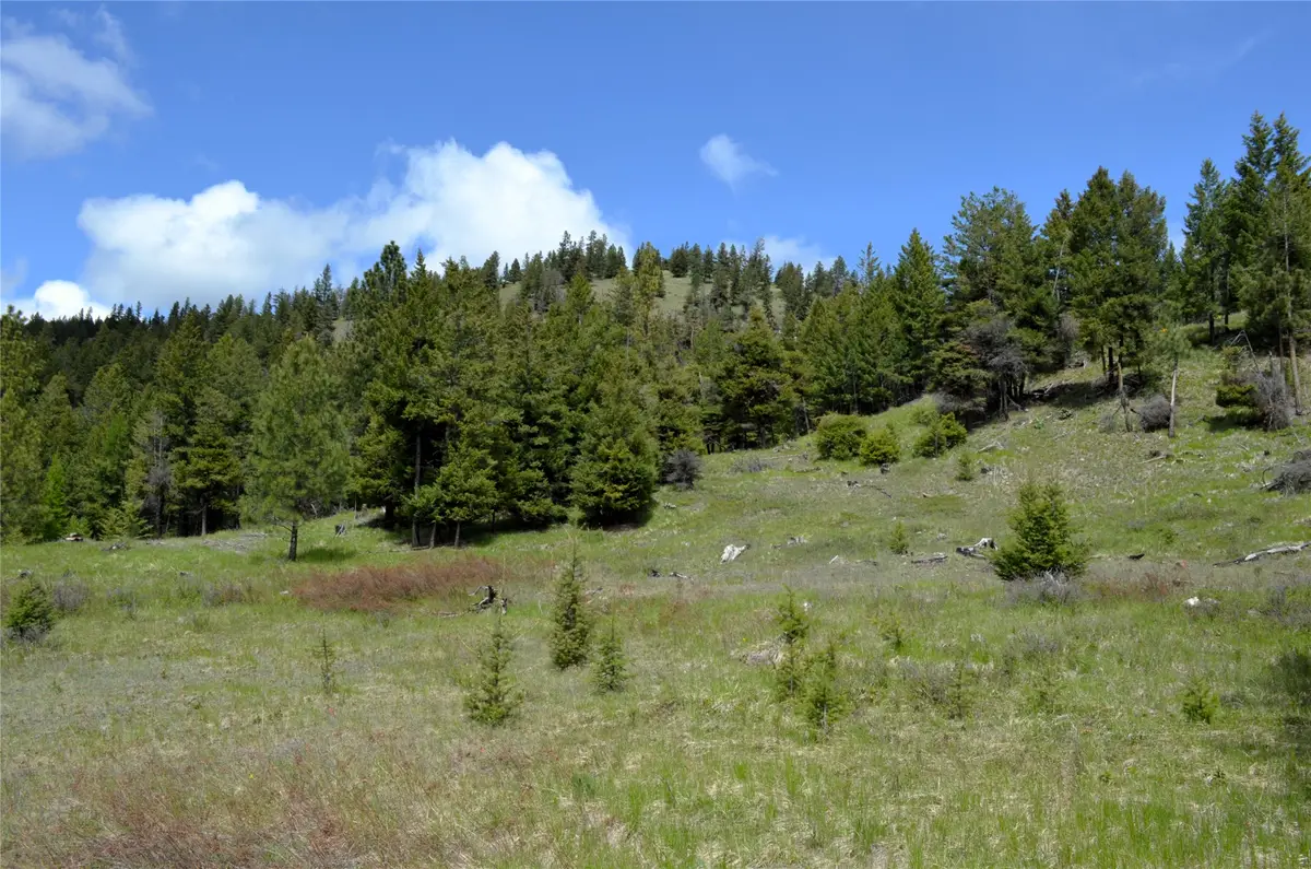 NHN Bugler Trail, Kila, MT 59920 - #1