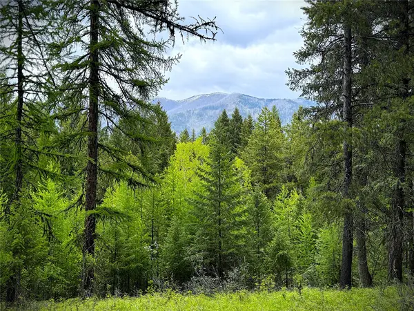 NHN Lagoon Drive, Trego, MT 59934