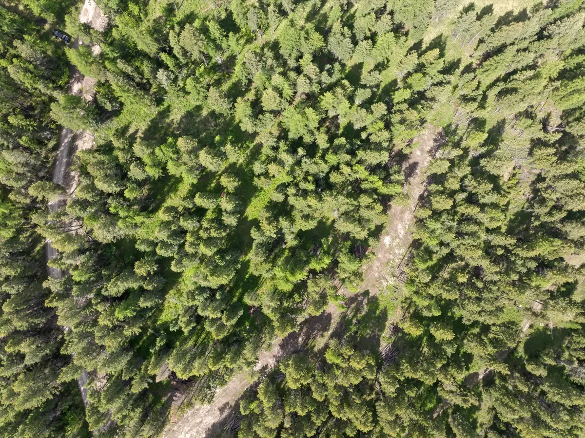 439 Buffalo Trail, Somers, MT 59932 - #1