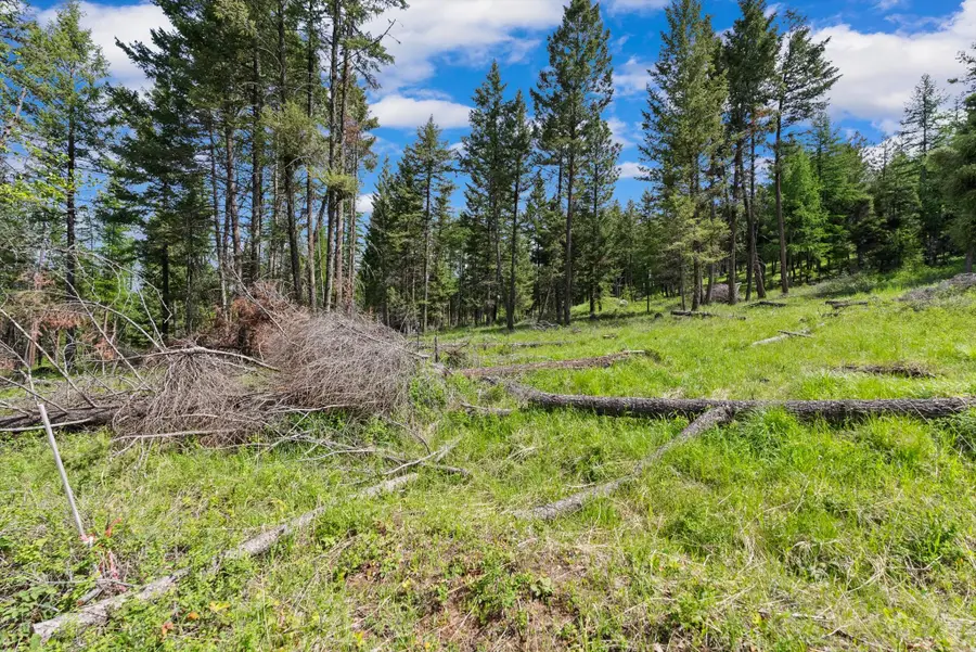 437 Buffalo Trail, Somers, MT 59932 - #2