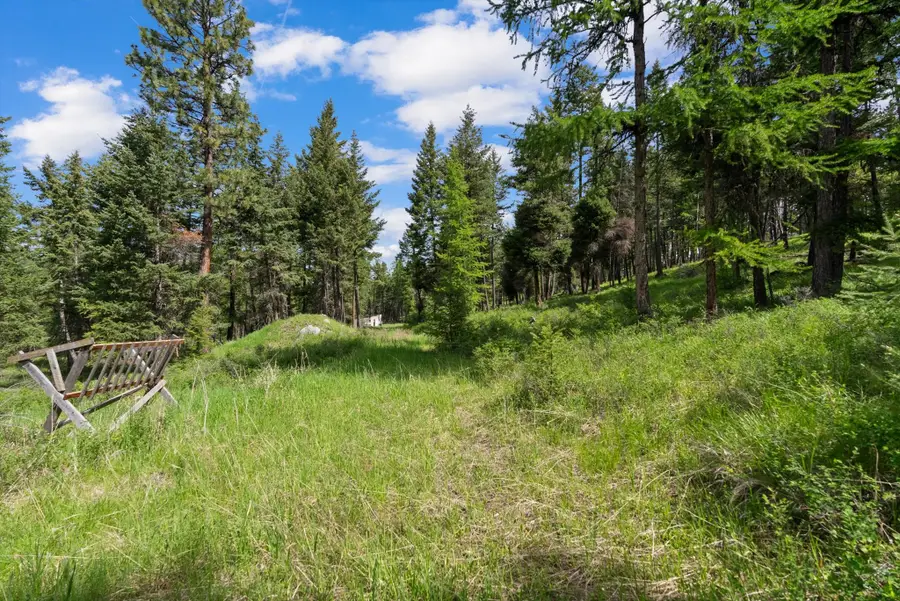 437 Buffalo Trail, Somers, MT 59932 - #3