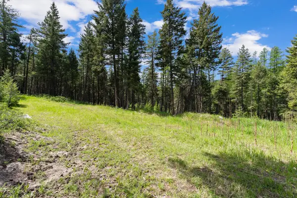 433 Buffalo Trail, Somers, MT 59932