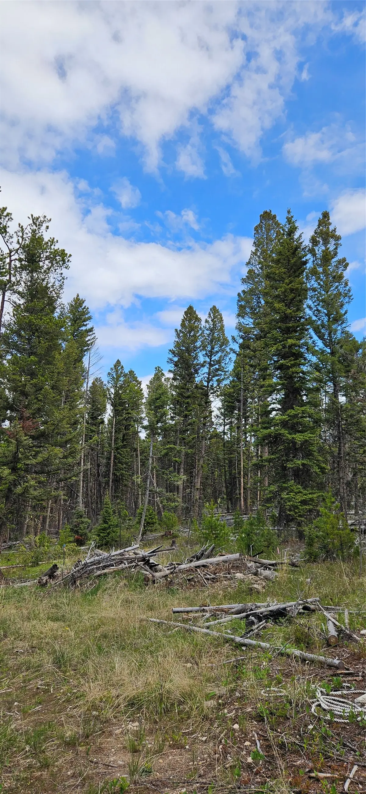 000 Bear Gulch Road, Lincoln, MT 59639 - Image #1