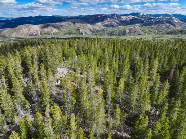 TBD Silver Creek Trail, Anaconda, MT 59711