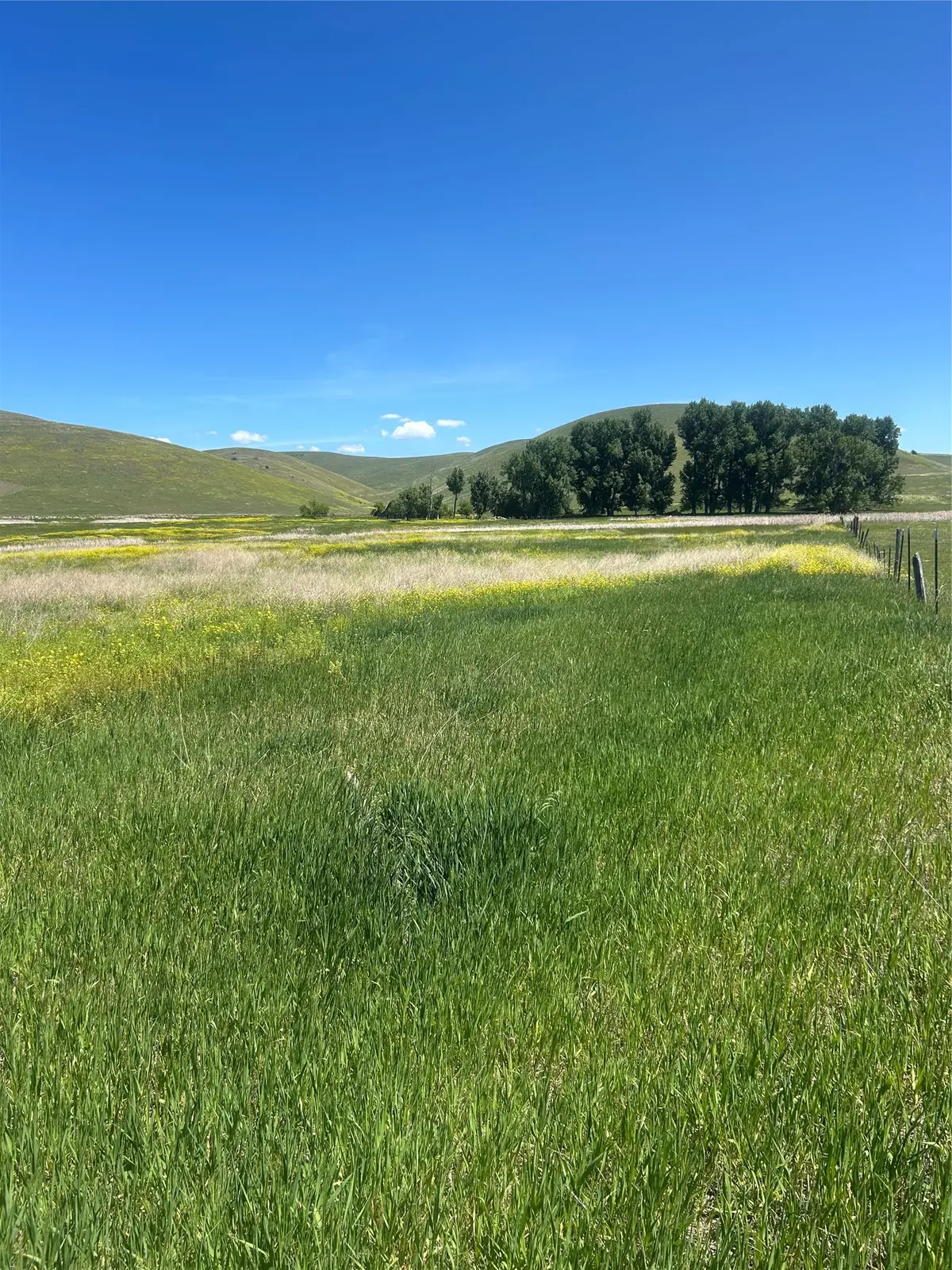 46624 Valley View Road, Ronan, MT 59864 - Image #1