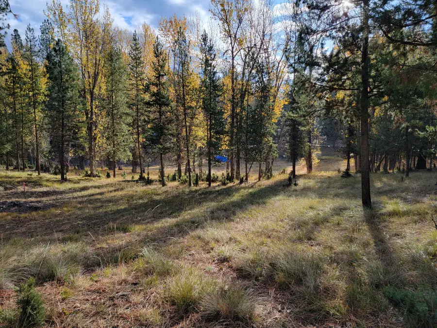 322 Rainbow Court, Seeley Lake, MT 59868 - Image #2