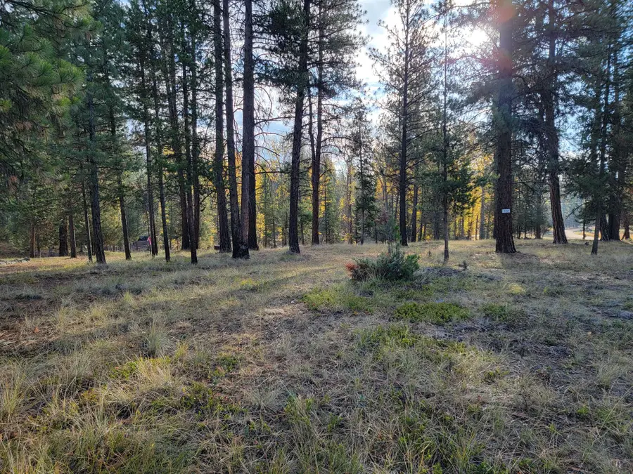 322 Rainbow Court, Seeley Lake, MT 59868 - Image #3