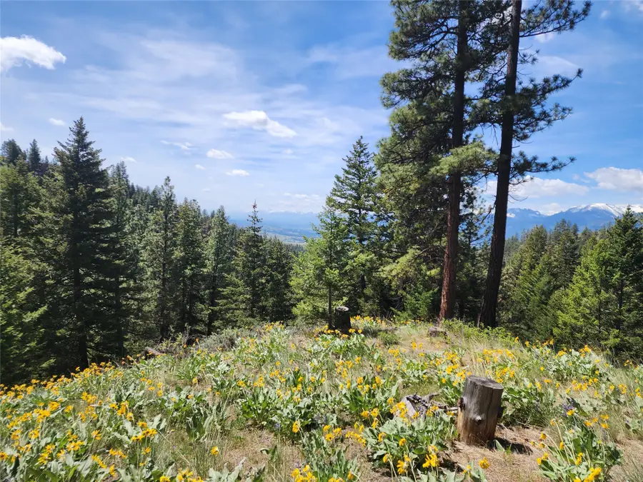 19063 Copper Ridge Trail, Florence, MT 59833 - Image #2