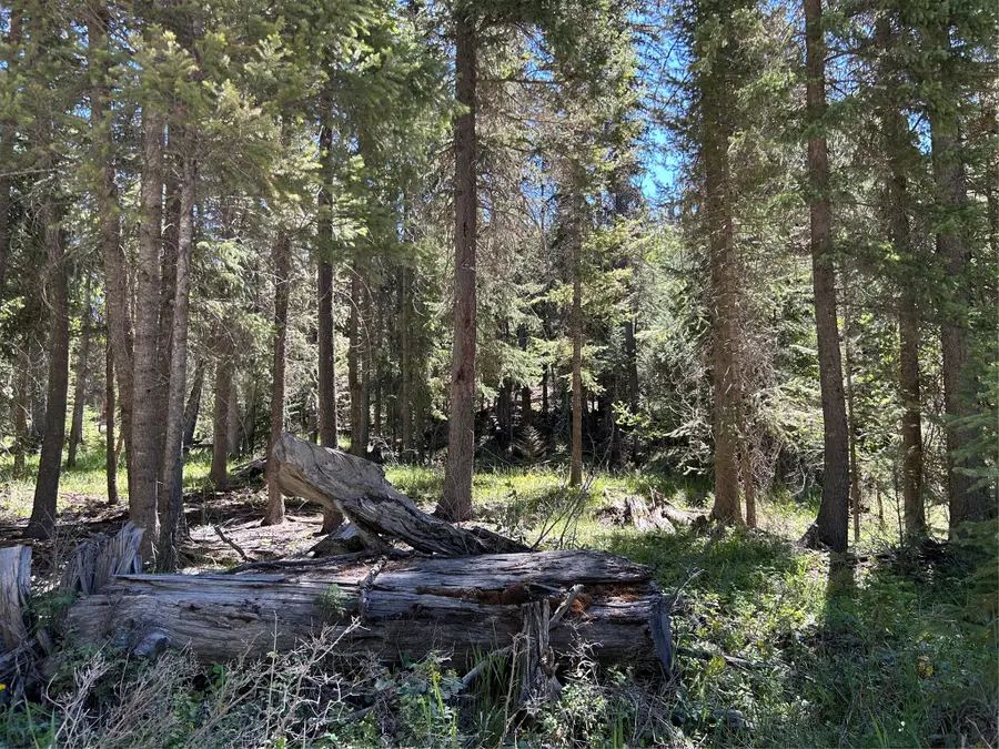 1776 Coon Hollow Road, Kila, MT 59920 - #3